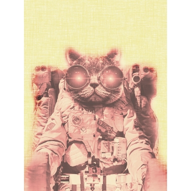 Lámina Gato Astronauta 2