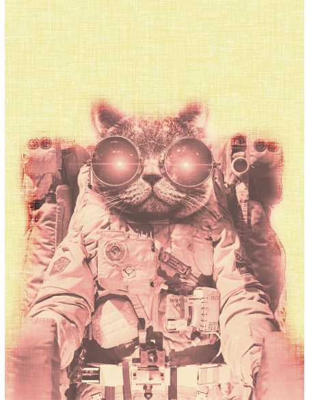 Lámina Gato Astronauta 2