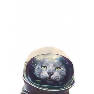 Lámina Gato Astronauta 3