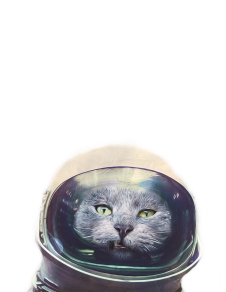 Lámina Gato Astronauta 3