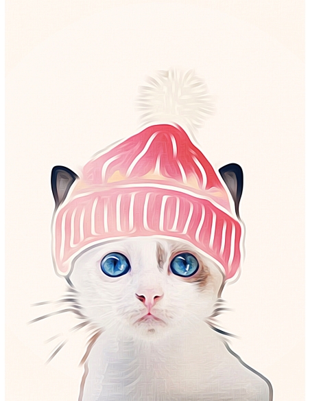 Lámina Gato Invierno Lámina Gato Invierno