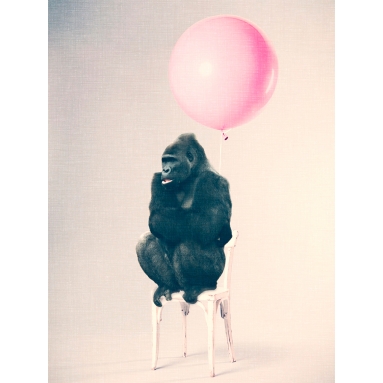 Lámina Gorila en Silla