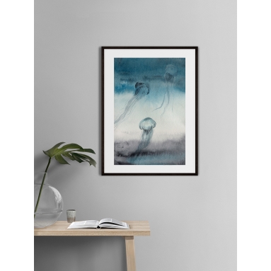 Lámina Grupo Medusas 2