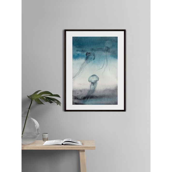 Lámina Grupo Medusas