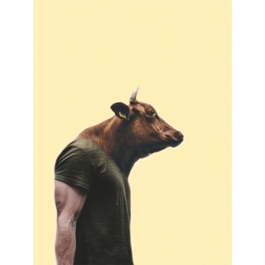 Lámina Hombre Toro