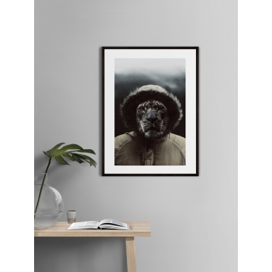 Lámina León Explorador 2