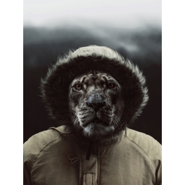 Lámina León Explorador