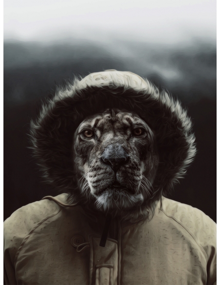 Lámina León Explorador