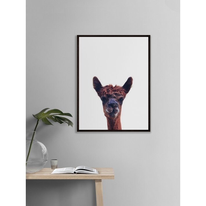 Lámina Llama Lámina Llama