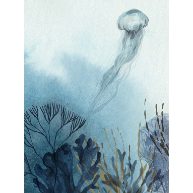 Lámina Medusa