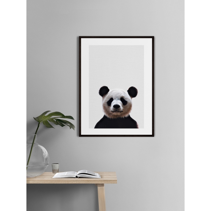 Lámina Oso Panda Lámina Oso Panda