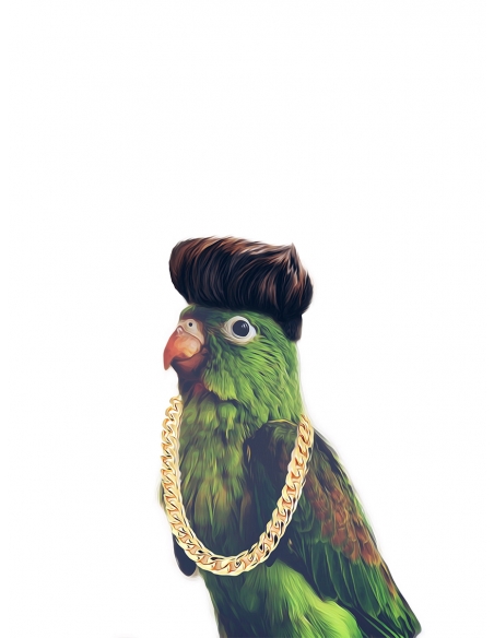 Lámina Pájaro con Tupé