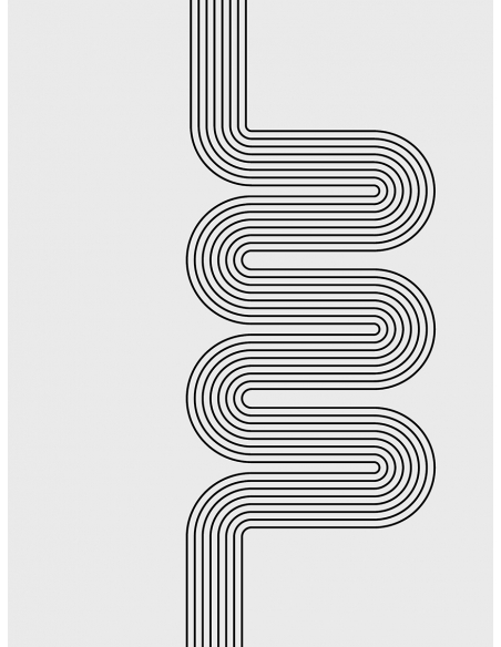 Lámina Abstracto Geométrico Curvas 3