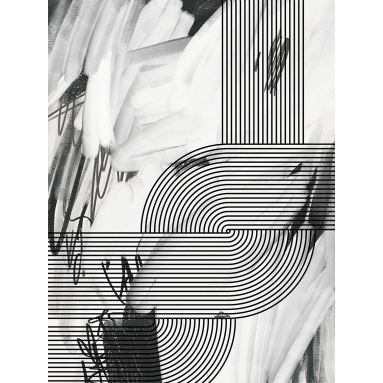 Lámina Abstracto Geométrico Curvas 6