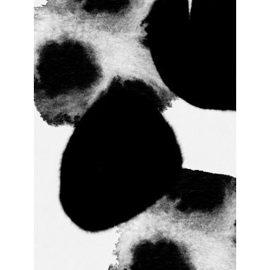 Lámina Abstracto Mancha Negra 2