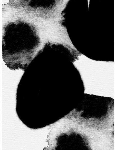 Lámina Abstracto Mancha Negra 2