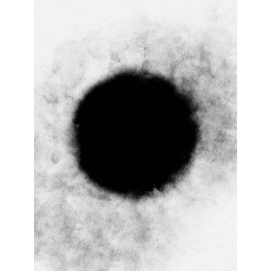 Lámina Abstracto Mancha Negra 5