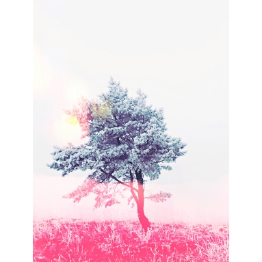 Lámina Árbol pasión viajar