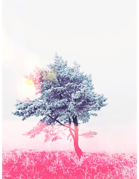 Lámina Árbol pasión viajar