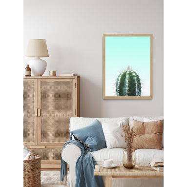 Lámina Cactus 2
