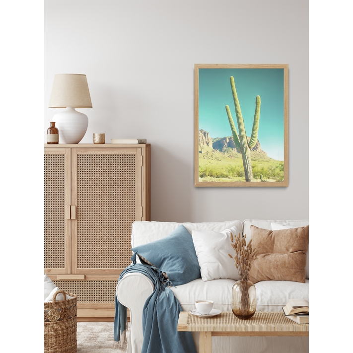Lámina Cactus Arizona
