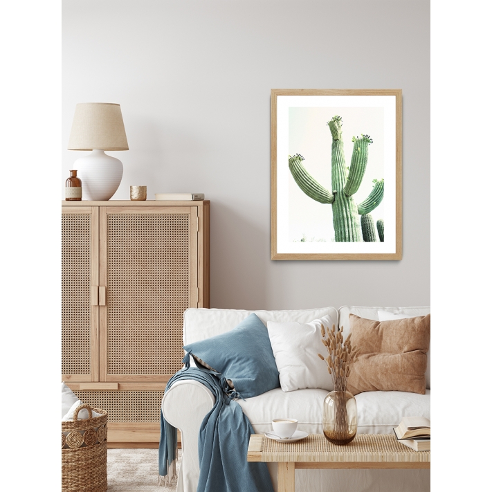 Lámina Cactus Arizona2