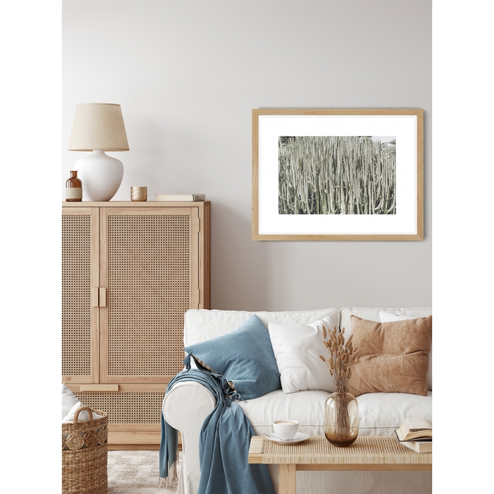 Lámina Cactus campo Lámina Cactus campo