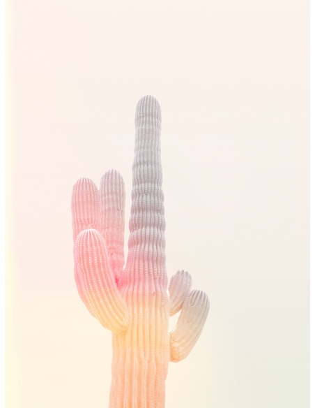 Lámina Cactus flash Lámina Cactus flash