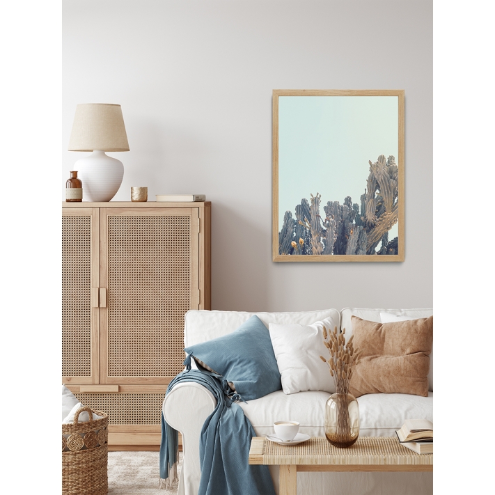 Lámina Cactus flor2