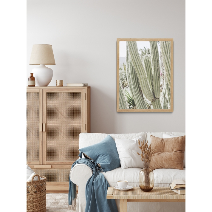 Lámina Cactus Grande 3 Lámina Cactus Grande 3