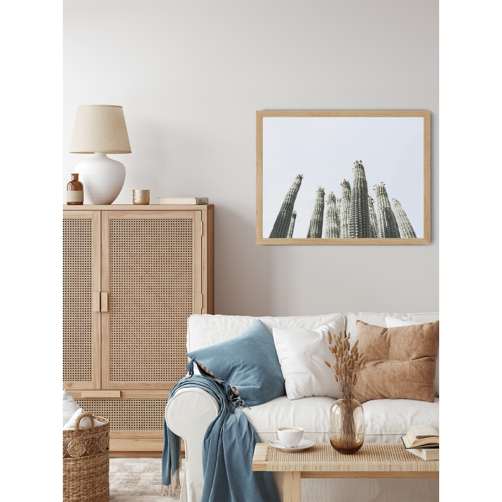 Lámina Cactus Grande 4