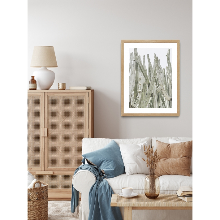 Lámina Cactus Grande 5