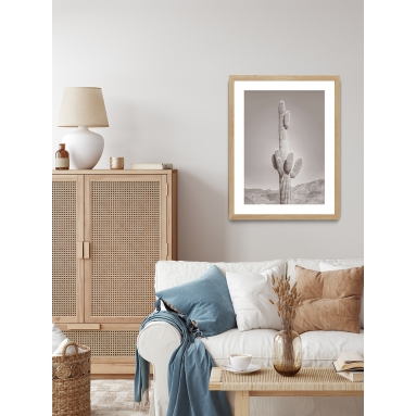 Lámina Cactus Gris 2