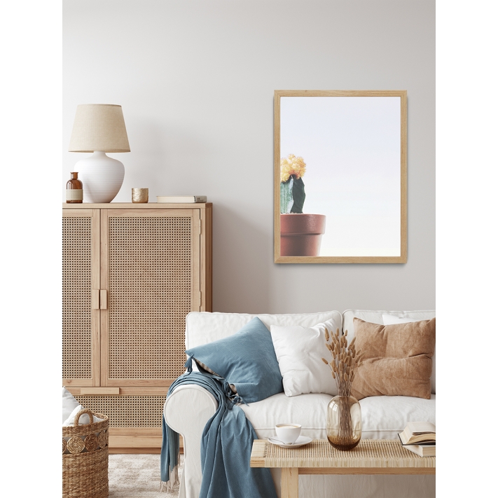 Lámina Cactus Maceta