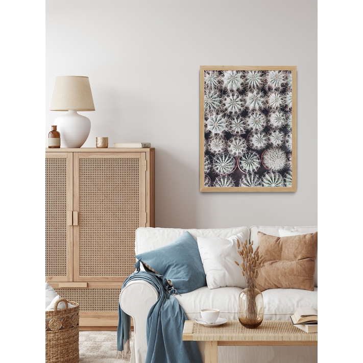 Lámina Cactus Maceta 3