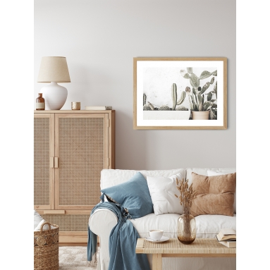 Lámina Cactus Maceta 4 2