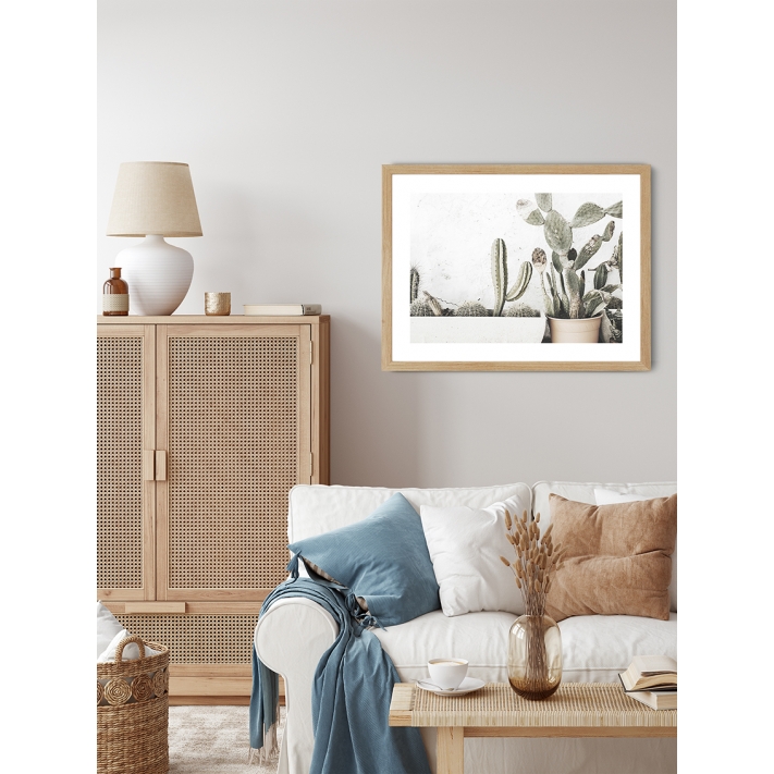 Lámina Cactus Maceta 4