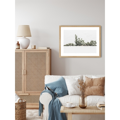 Lámina Cactus Maceta 5 2