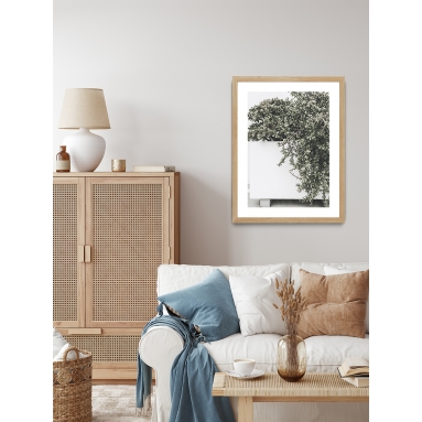 Lámina Cactus Maceta 6 2