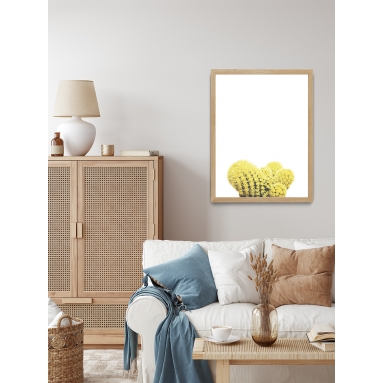 Lámina Cactus Suculenta Amarilla 2