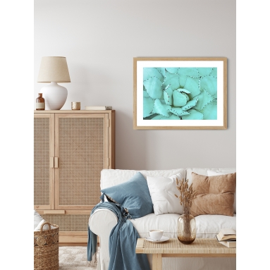 Lámina Cactus Suculenta Azul 2