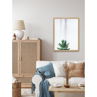 Lámina Cactus Suculenta Verde 2