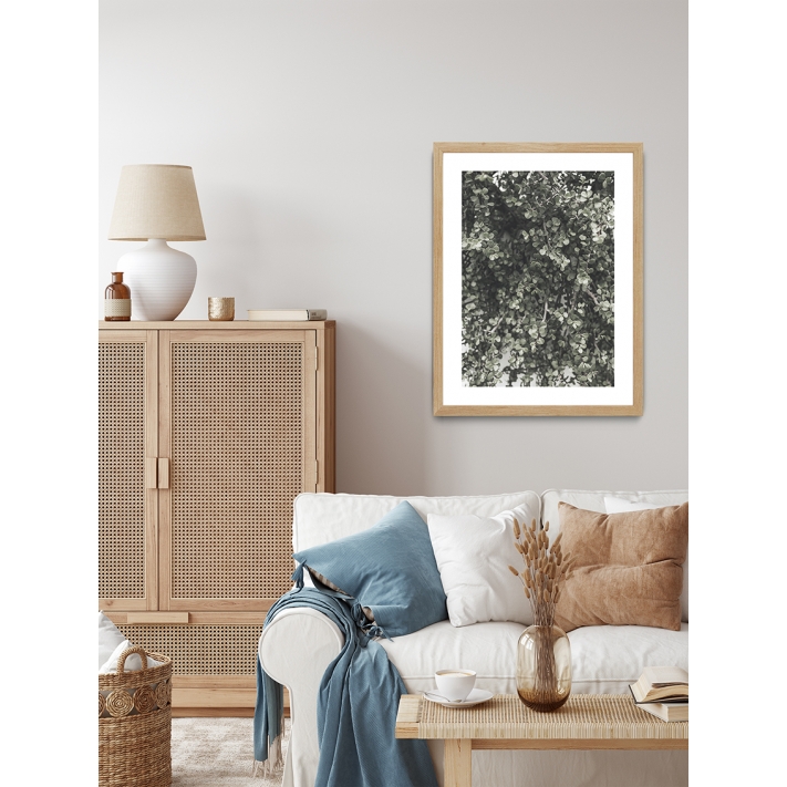 Lámina Cactus Suculenta Verde2