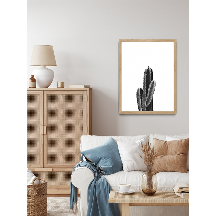 Lámina Cactus4 Lámina Cactus4