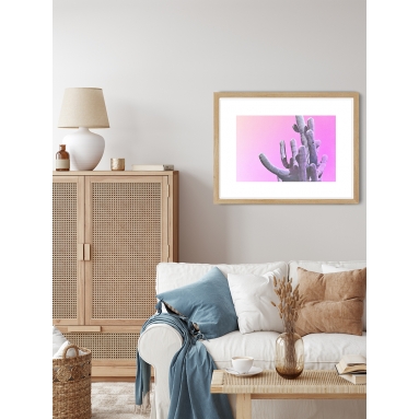 Lámina Cactus Rosa 2