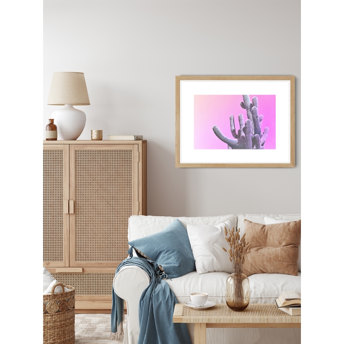 Lámina Cactus Rosa