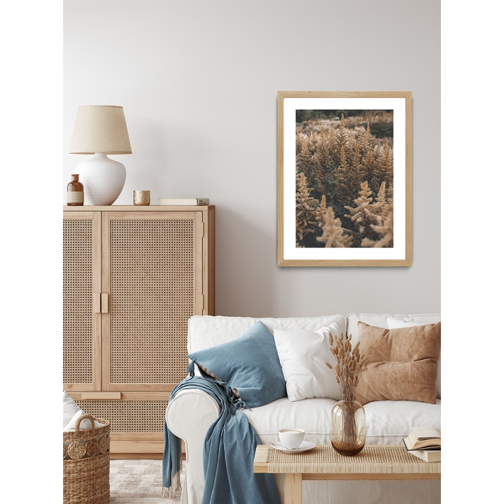 Lámina Campo Vegetal