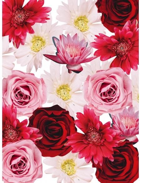 Lámina Collage Flores Lámina Collage Flores