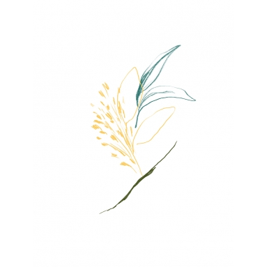 Lámina Dibujo Flor