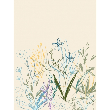 Lámina Dibujo Flor 3